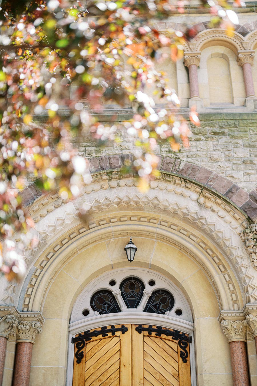 Ornate stone archway and wooden doors of a historic church with sunlight and blurred leaves in the foreground.