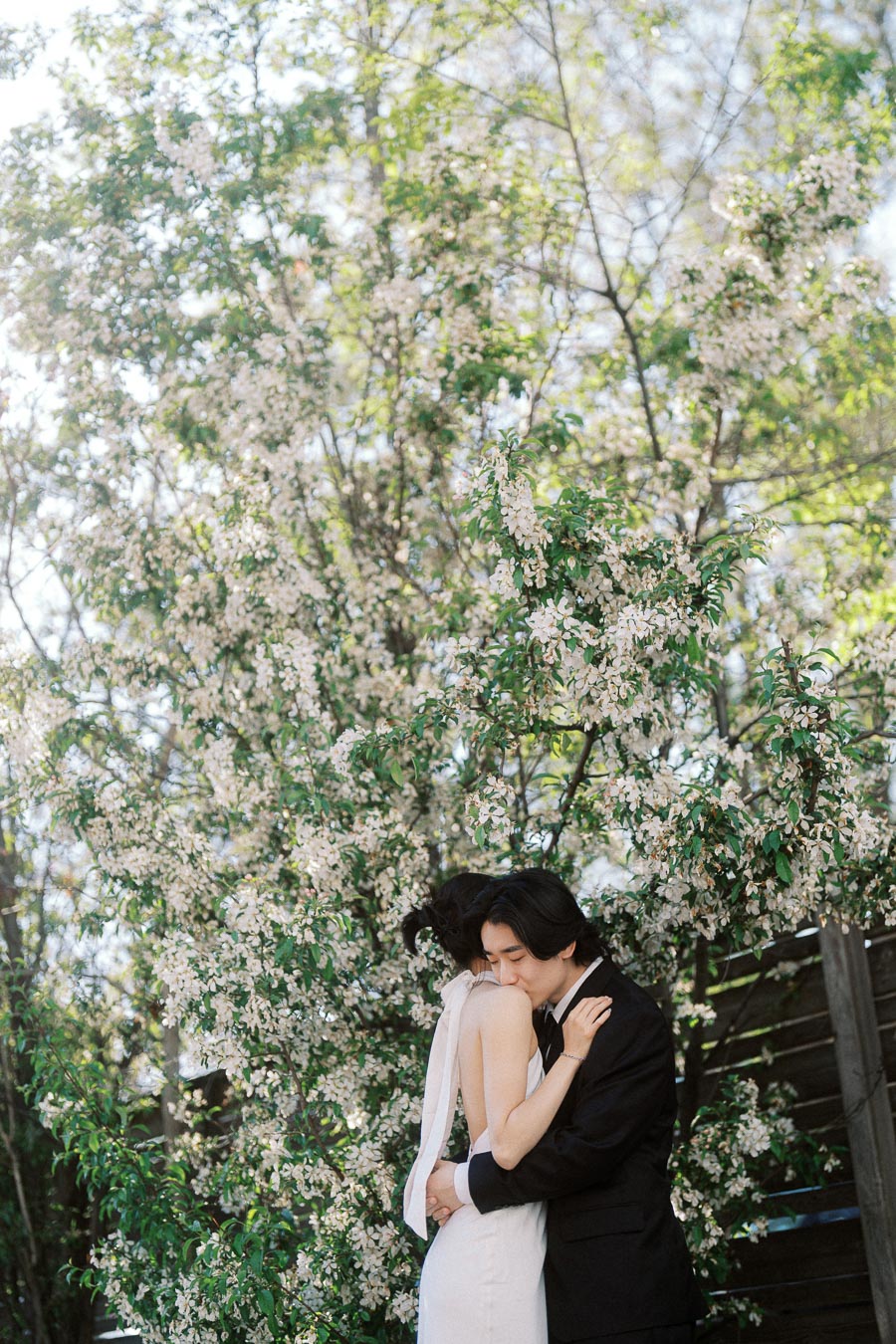 Couple hugging tenderly beneath blooming spring tree, man in black suit, woman in white dress, outdoor engagement portrait.