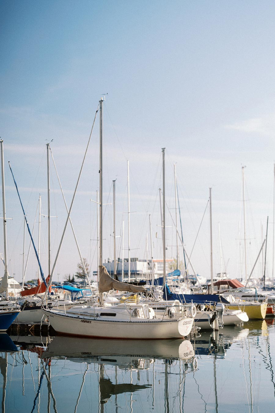 Several sailboats docked at a quiet marina with calm water and clear blue sky.