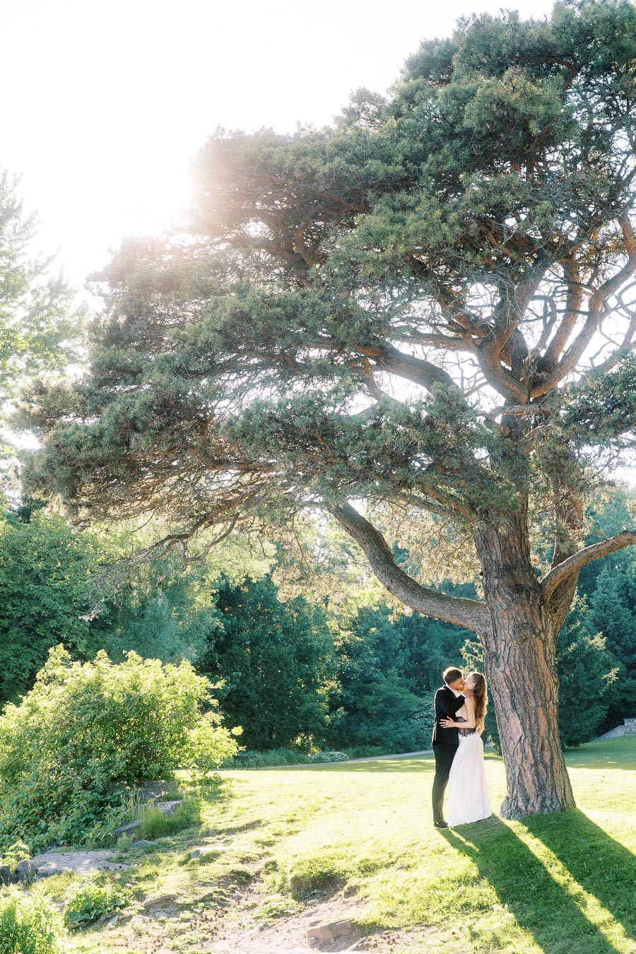 Anastasiia and Petr embrace and kiss under a tall tree with sunlight streaming through branches.