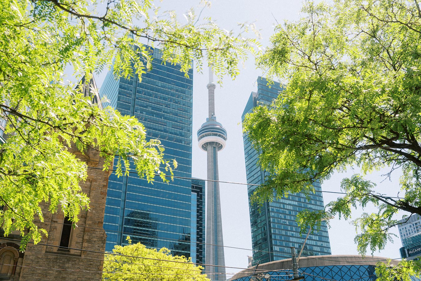 The CN Tower stands between two glass office towers, framed by leafy green trees and historic architecture in downtown Toronto.