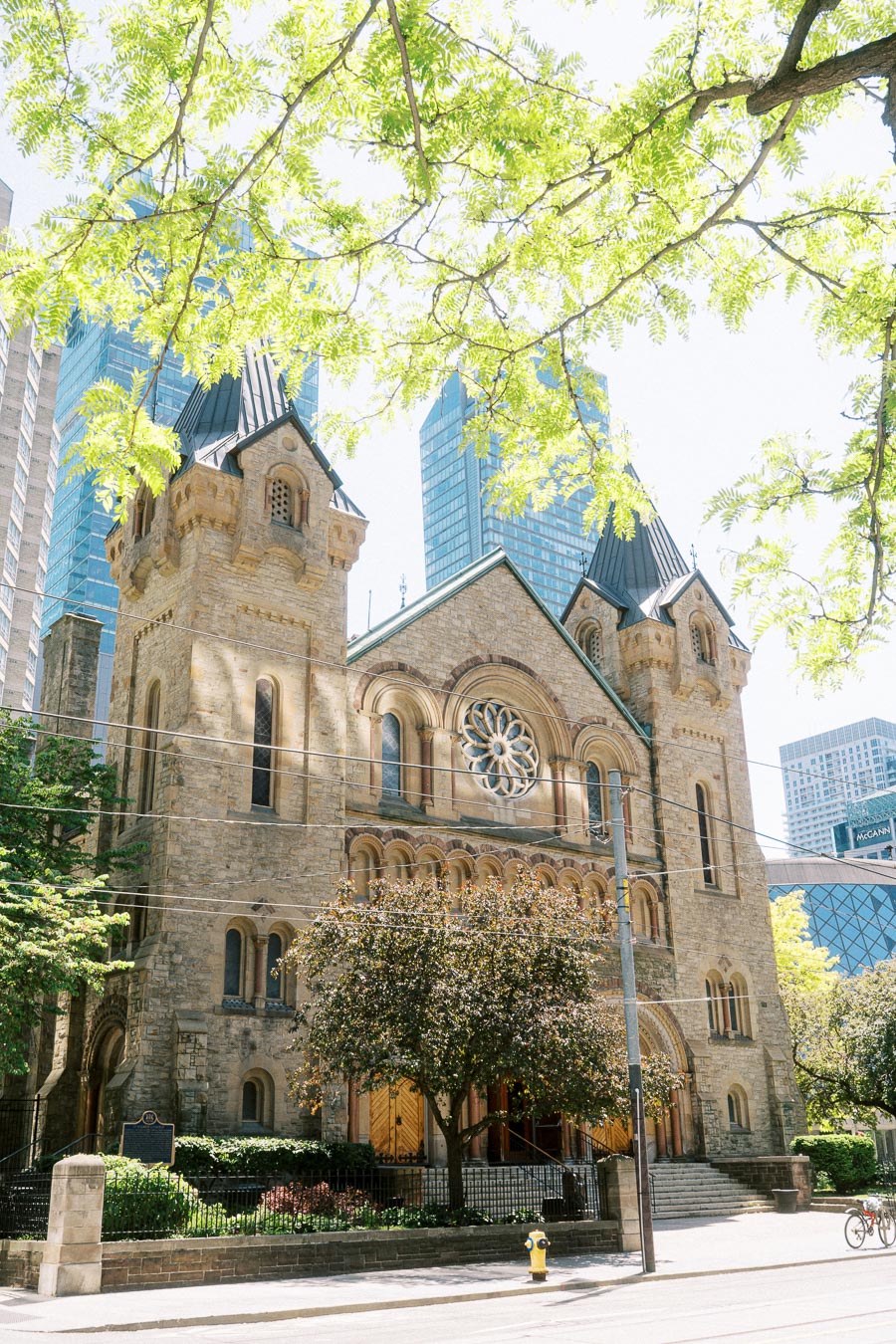 St. Andrew’s Presbyterian Church in downtown Toronto, with historic stone architecture framed by leafy green tree branches and city skyscrapers.
