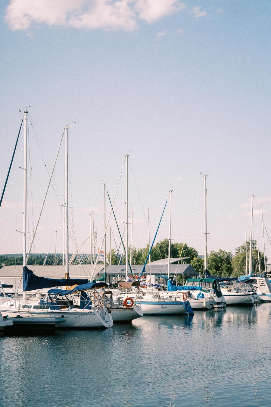 Sailboats docked in a marina at Royal Hamilton Yacht Club on Lake Ontario.