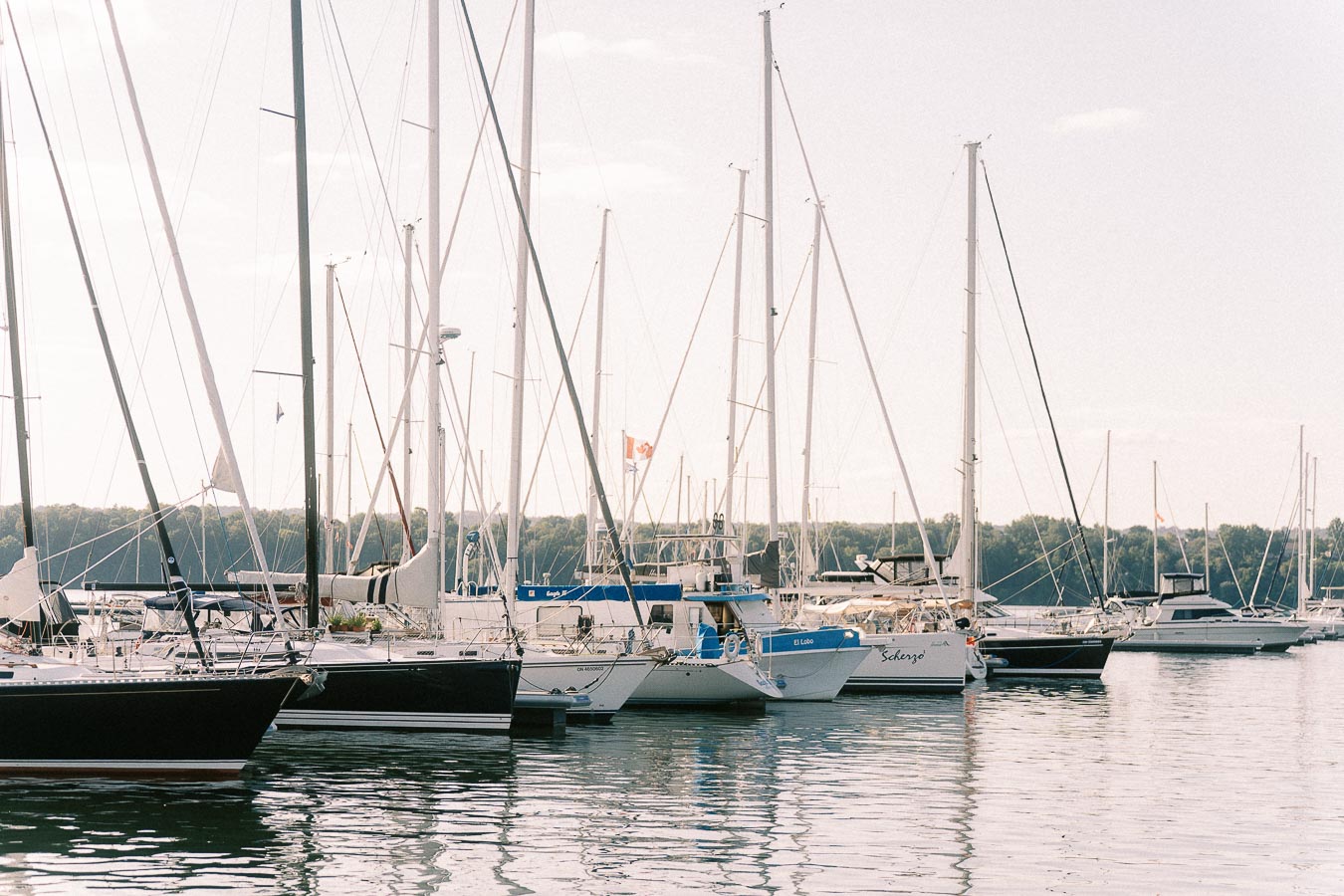 Sailboats docked in a marina at Royal Hamilton Yacht Club on Lake Ontario.
