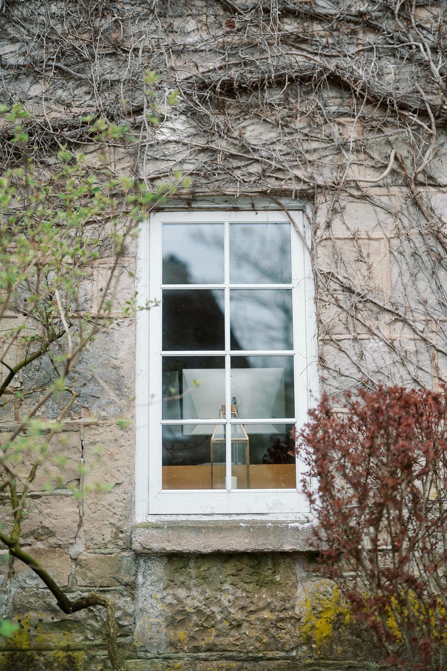 White framed window on a stone wall covered with bare vines and garden shrubs