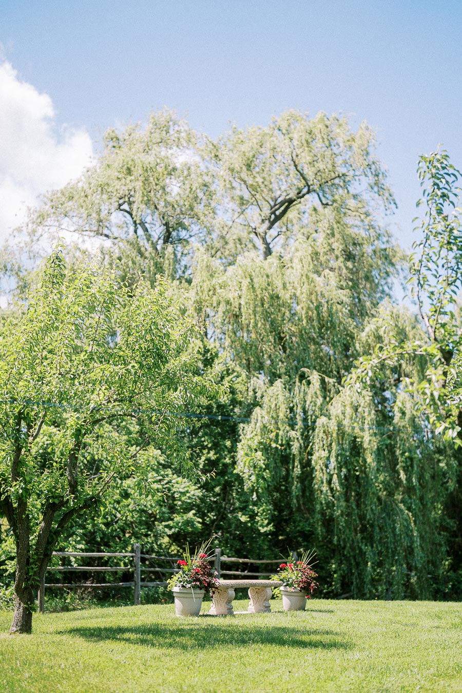 Lush green garden with a stone bench surrounded by colorful flower pots under a clear blue sky, featuring tall willow trees in the background.