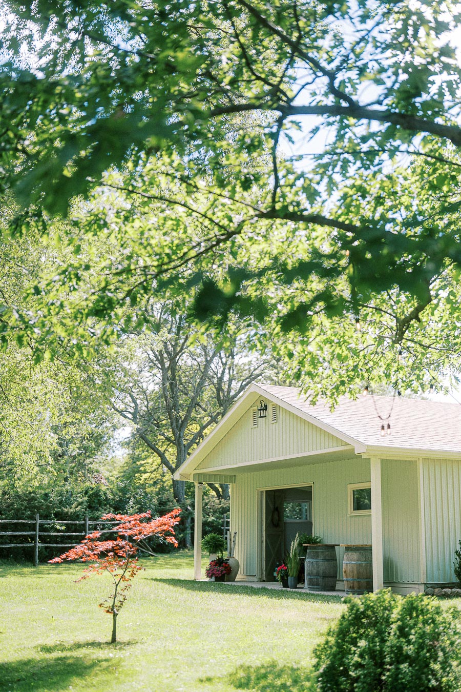Small rustic shed surrounded by lush greenery and trees, featuring a quaint garden with vibrant flowers and a young red maple tree in the foreground, under a bright, sunny sky.