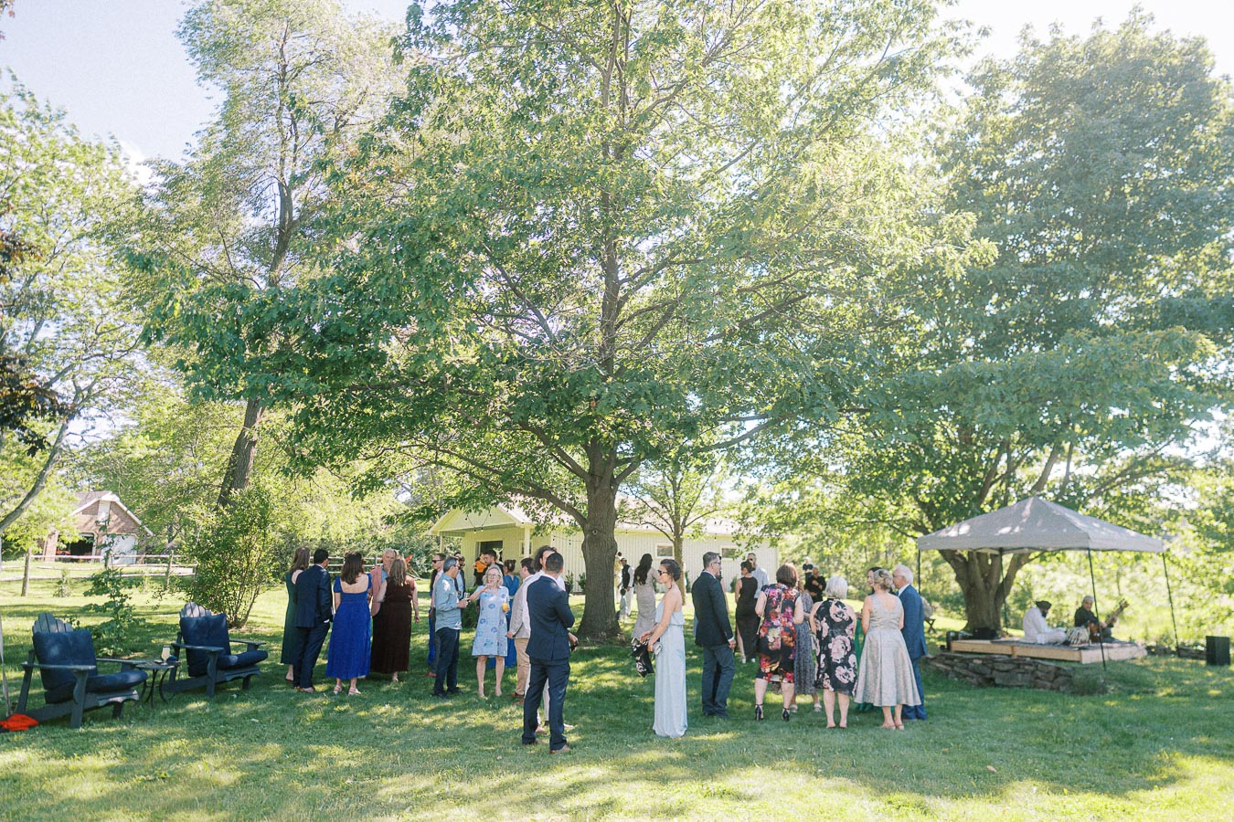Outdoor wedding reception under a large tree with guests mingling in elegant attire, set in a scenic garden with a gazebo and live musicians playing under a canopy.