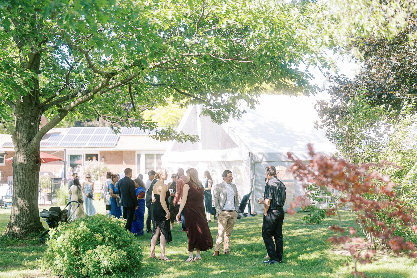 Outdoor gathering under a large tree with people socializing near a white tent. Bright and sunny setting with lush greenery, suggesting a festive garden event.