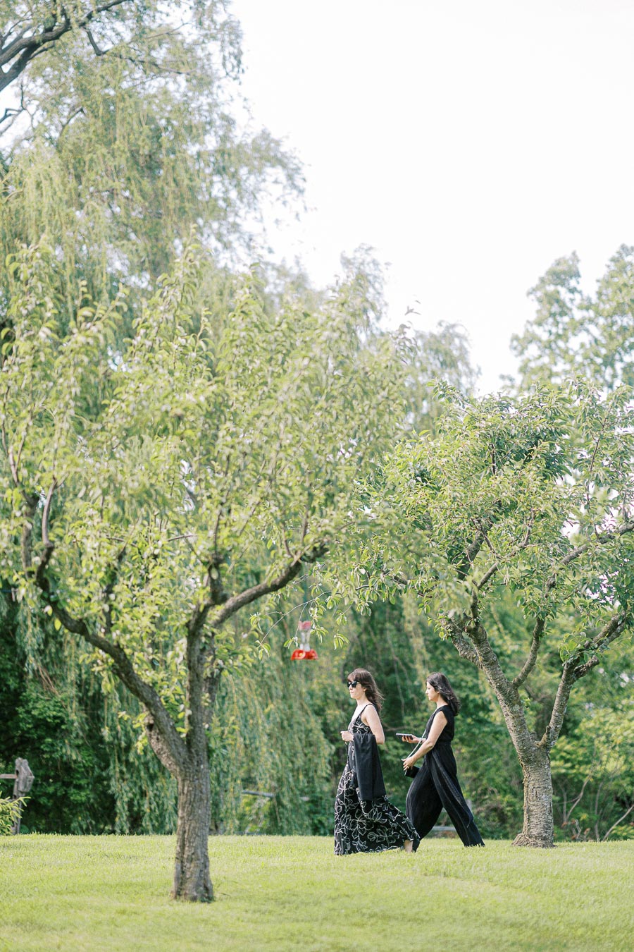 Two women in elegant black dresses walking through a lush green garden with trees and a bird feeder, capturing a serene outdoor moment.