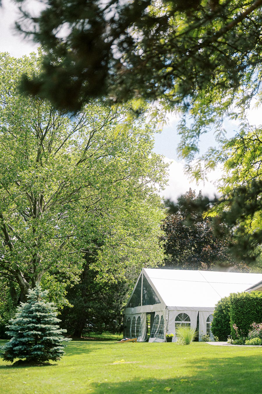 Outdoor wedding venue with white tent surrounded by lush green trees and grass, bathed in natural sunlight.