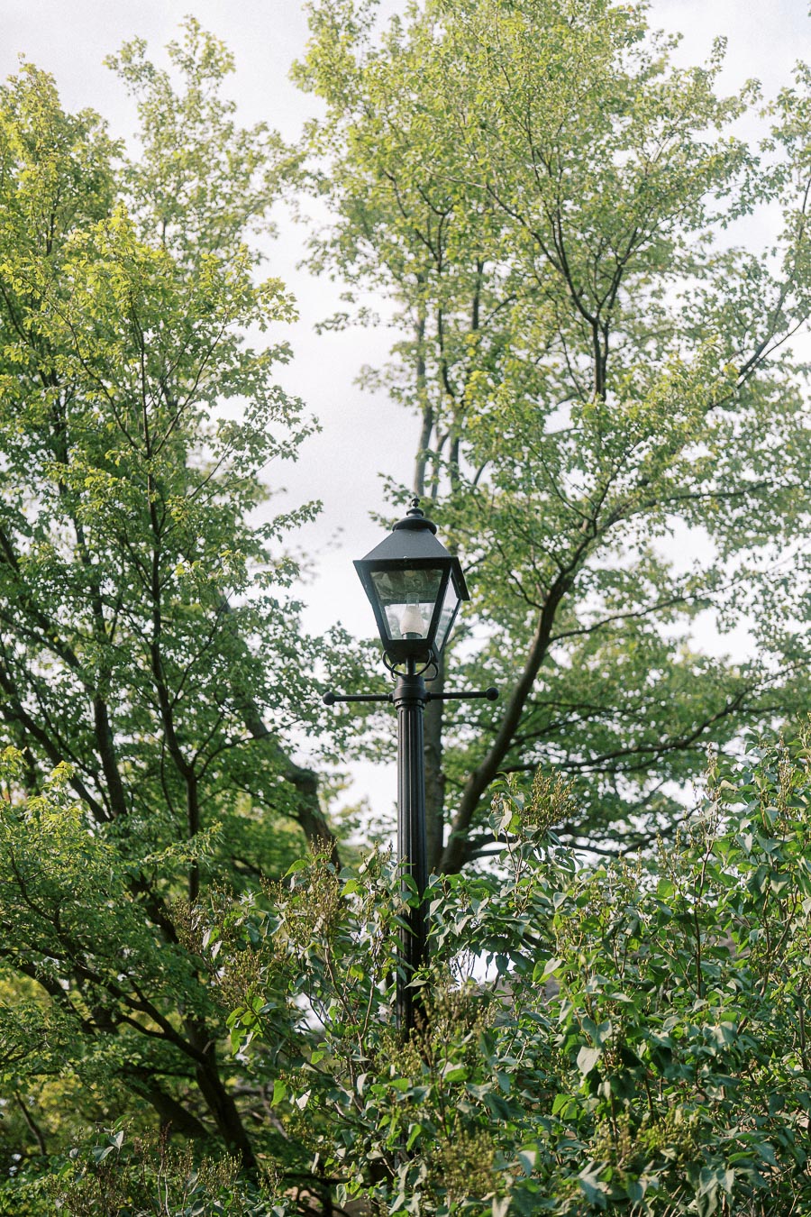 Black lamp post among leafy trees at Dundurn Castle grounds