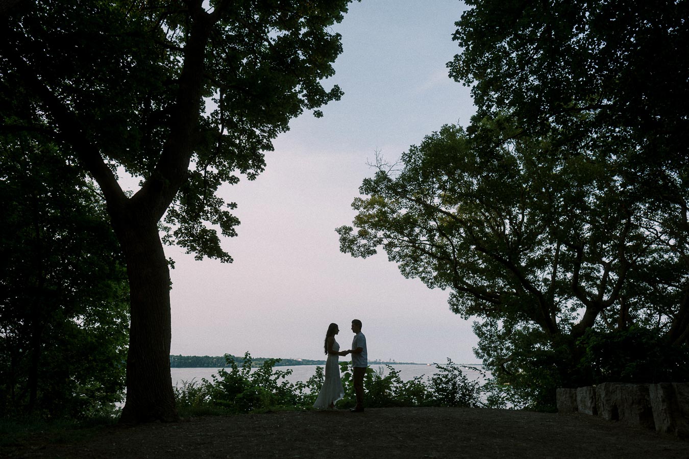 Silhouetted couple holding hands by Hamilton waterfront trees during engagement session