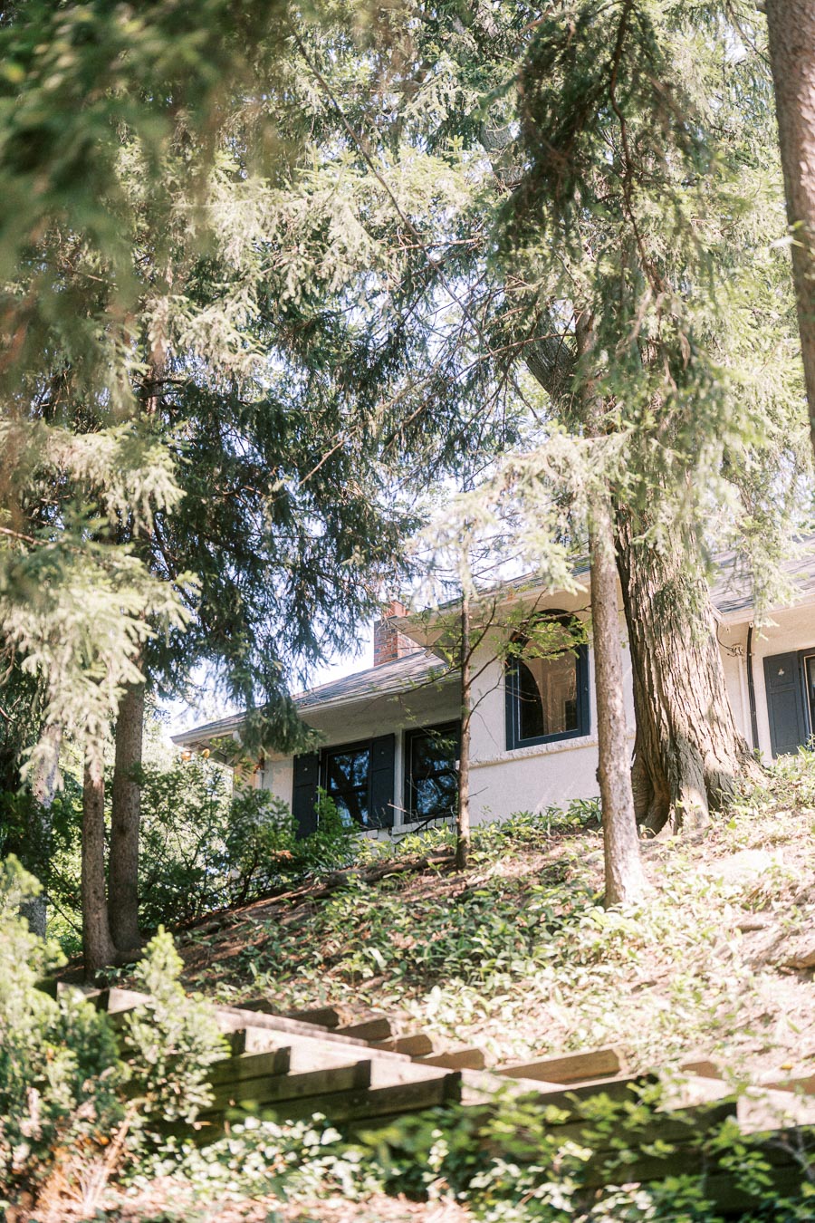 House partially hidden behind tall evergreen trees and garden steps.