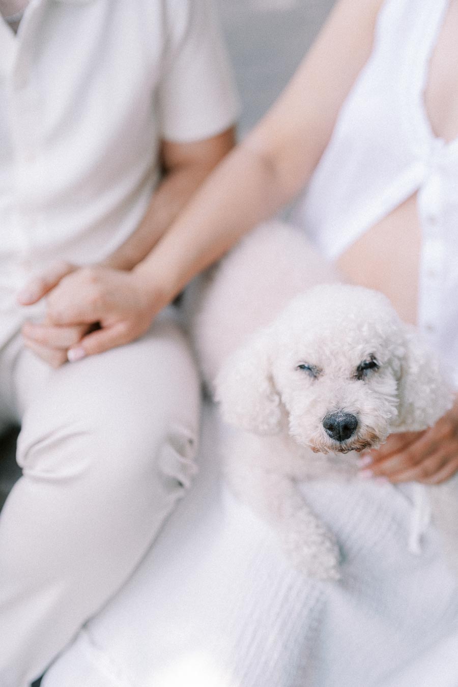 Couple holding hands while seated with a small white dog between them.