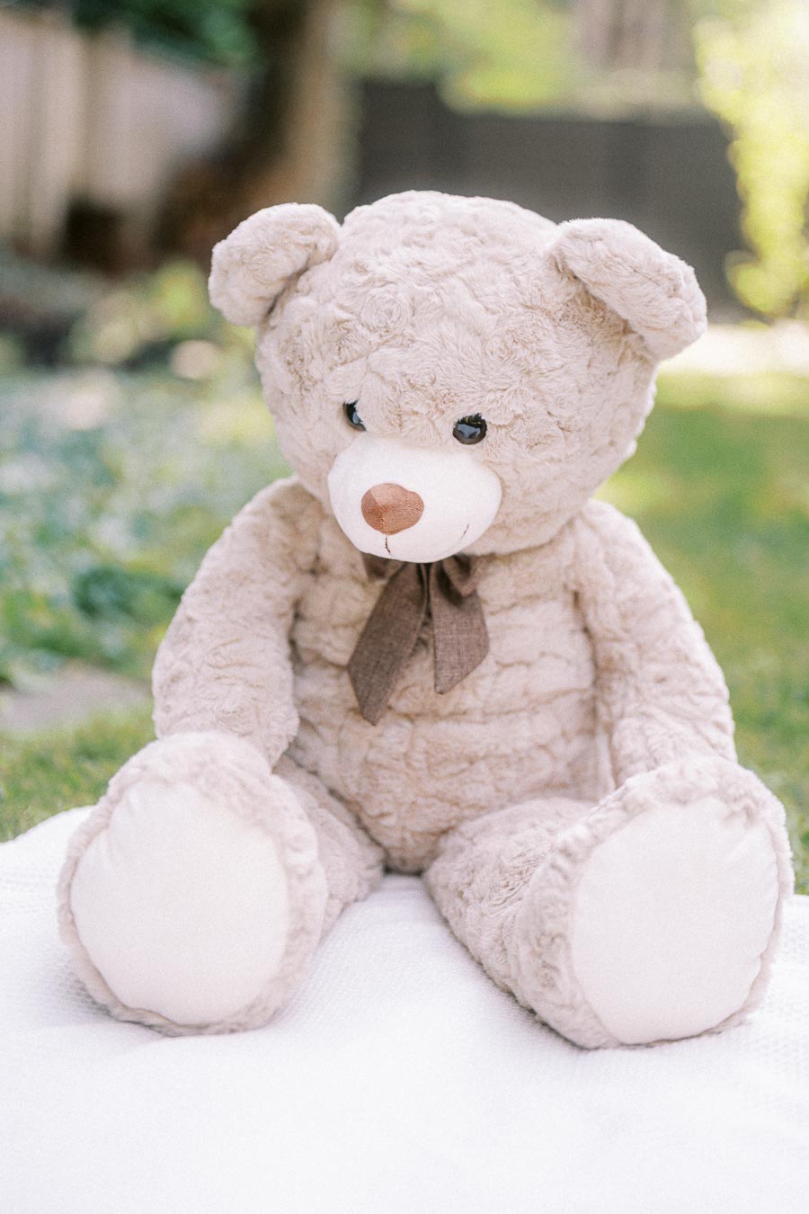 Plush teddy bear sitting on a white blanket in a grassy outdoor setting.