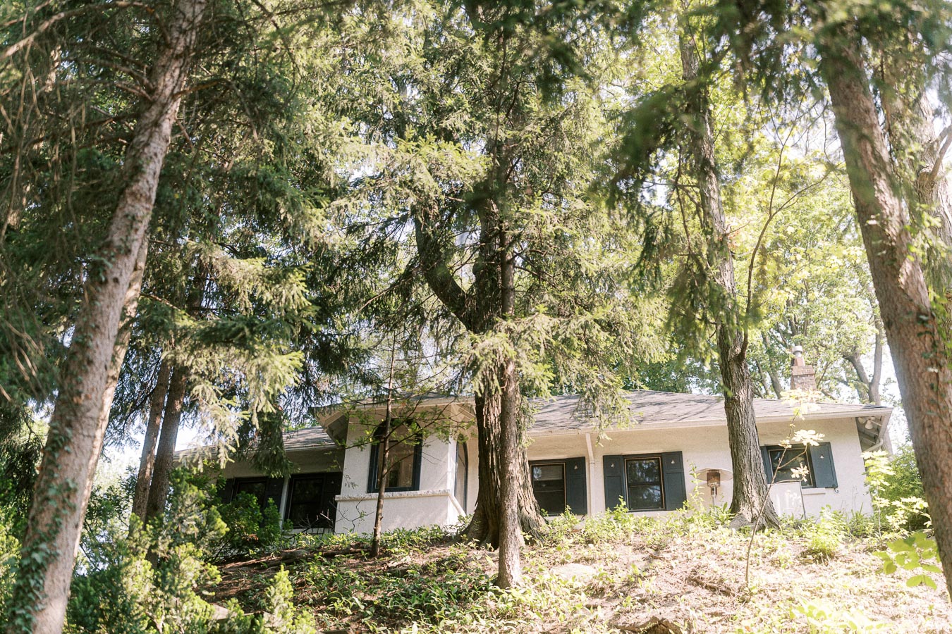 House partially hidden among tall trees and greenery in a wooded setting.