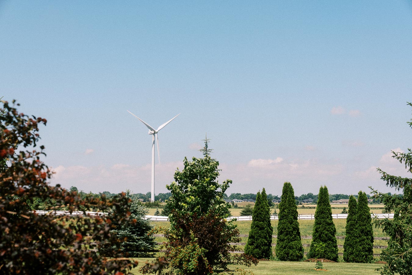 White wind turbine in a rural farm landscape with trees, fields, lawn, and blue sky near Chatham-Kent, Ontario, Canada.