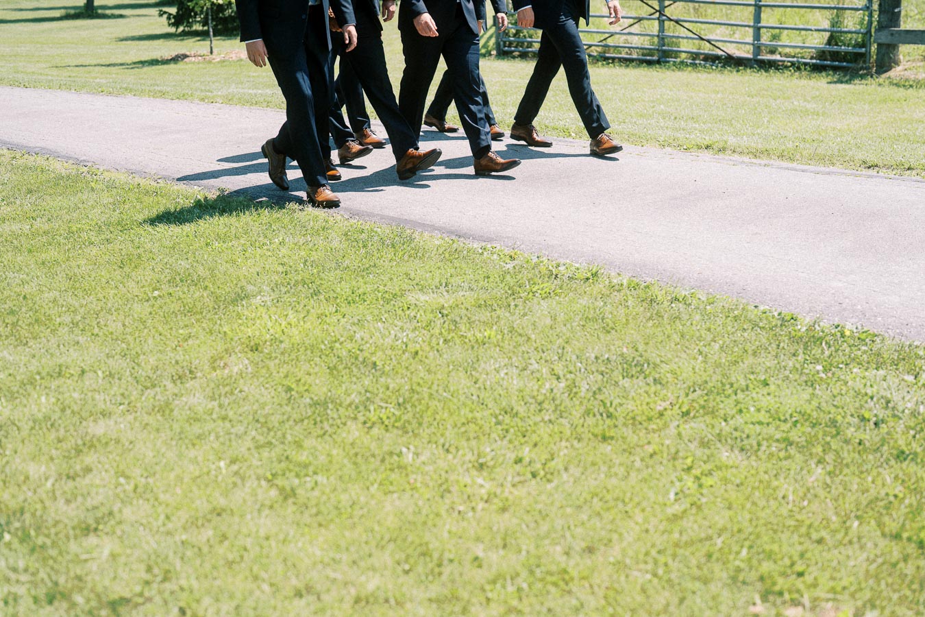Cropped view of groom and groomsmen in dark suits walking on a rural driveway beside grass and a metal farm gate in Ontario.