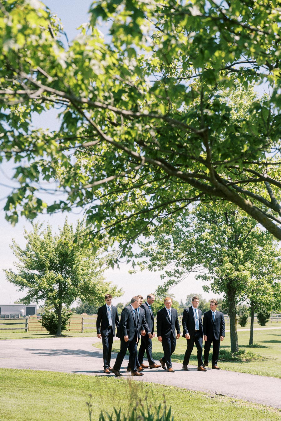 Groom and groomsmen in dark suits walking together on a sunny farm driveway beneath green trees in Chatham-Kent, Ontario.