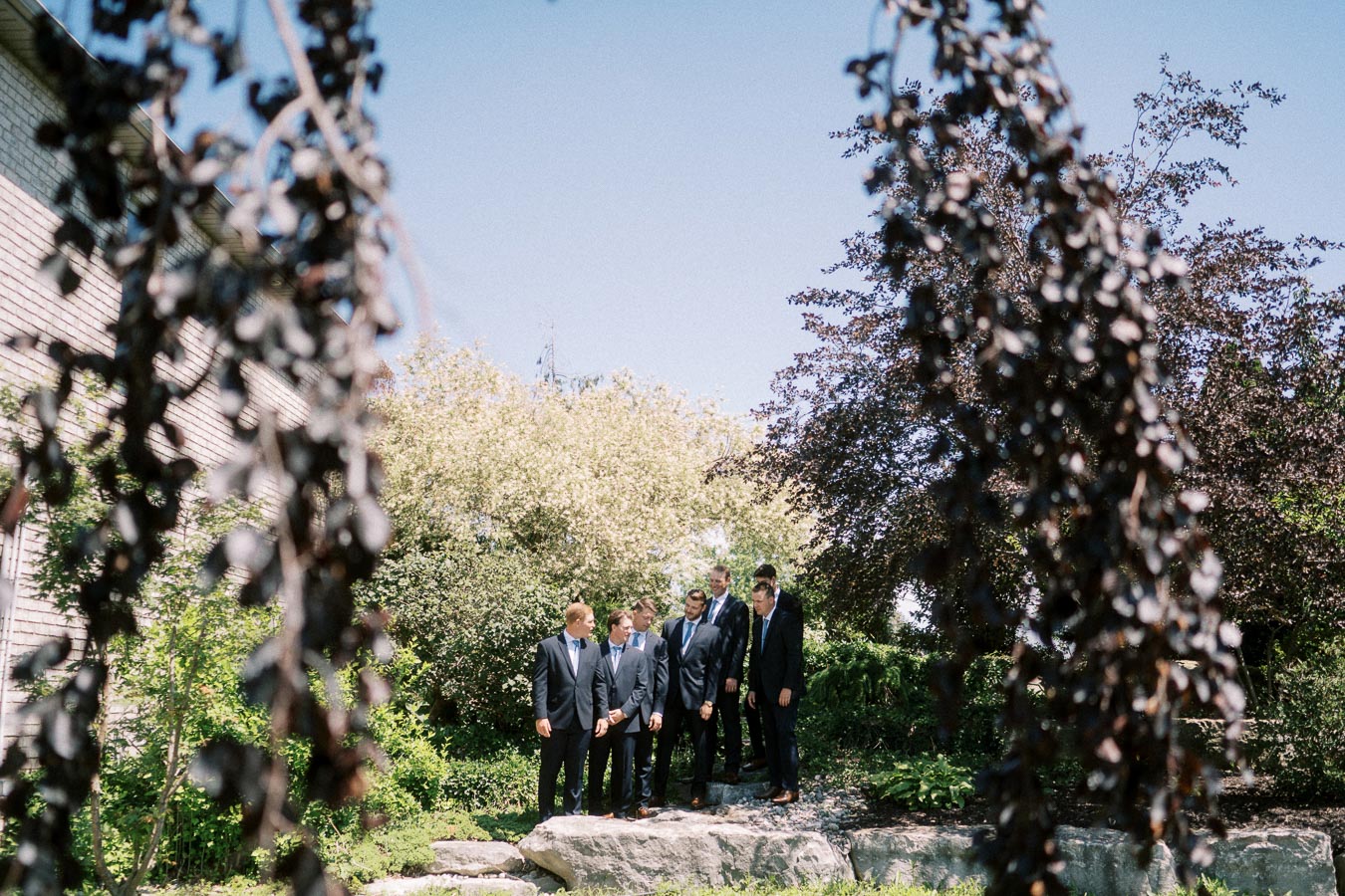 Groom and groomsmen in dark suits standing on rocks in a garden near a family home in Chatham-Kent, Ontario, Canada.