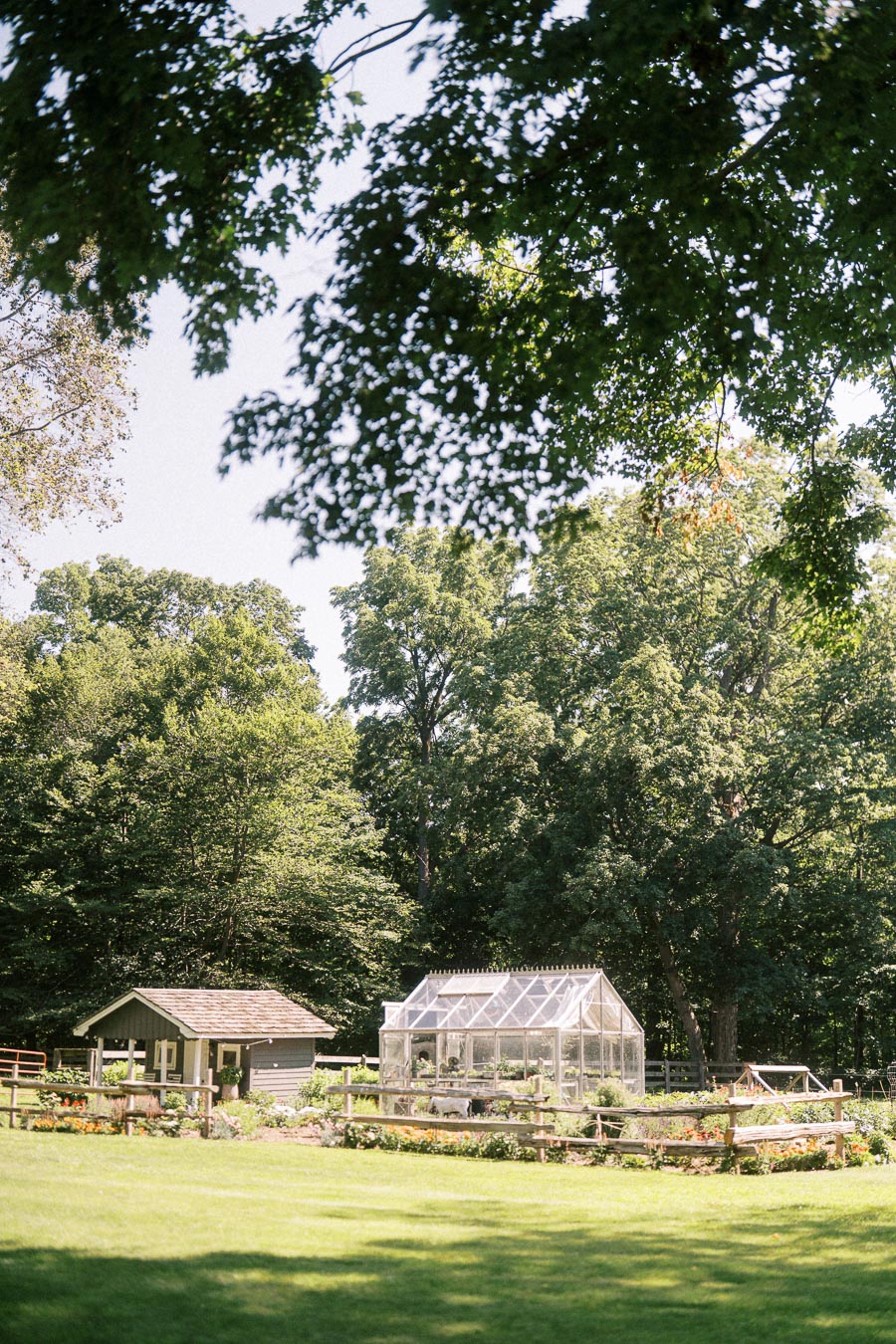 Greenhouse and garden on a private farm property near Chatham-Kent, Ontario, surrounded by trees and lawn on a sunny wedding morning.