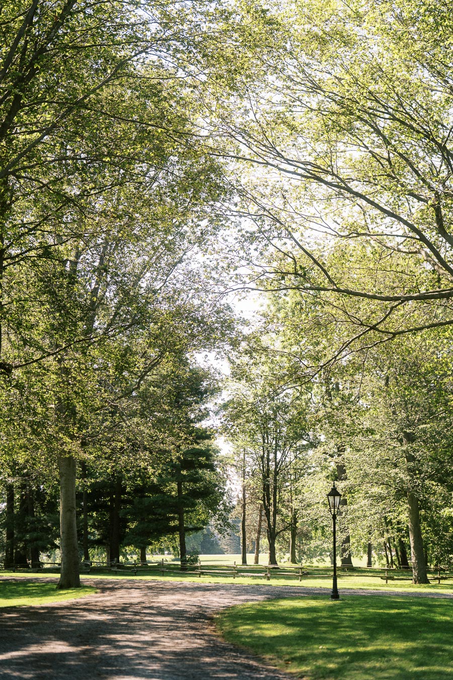 Sunlit tree lined estate path with green lawns, benches, and a black lamp post near Chatham-Kent, Ontario, Canada.