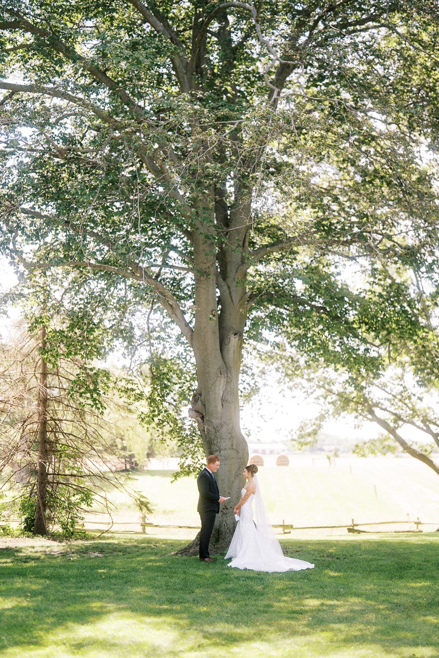 Bride and groom reading private vows under a large tree on a sunny outdoor estate near Chatham-Kent, Ontario, Canada.