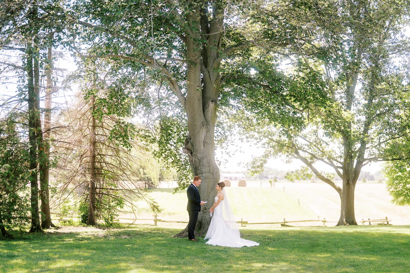 Bride and groom read vows beneath a large tree on a sunny private estate lawn near Chatham-Kent, Ontario.