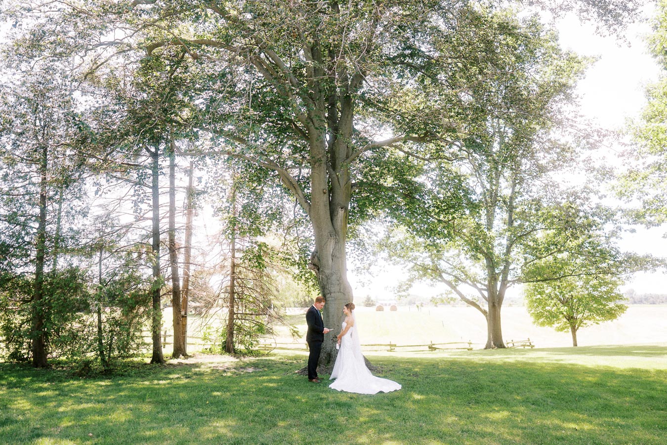 Bride and groom reading vows under a large tree on a private estate lawn near Chatham-Kent, Ontario.