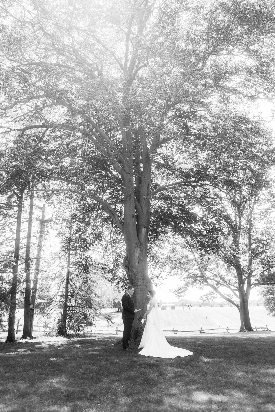 Black and white outdoor wedding portrait of a bride and groom reading vows beneath a large tree on a private estate near Chatham-Kent, Ontario.
