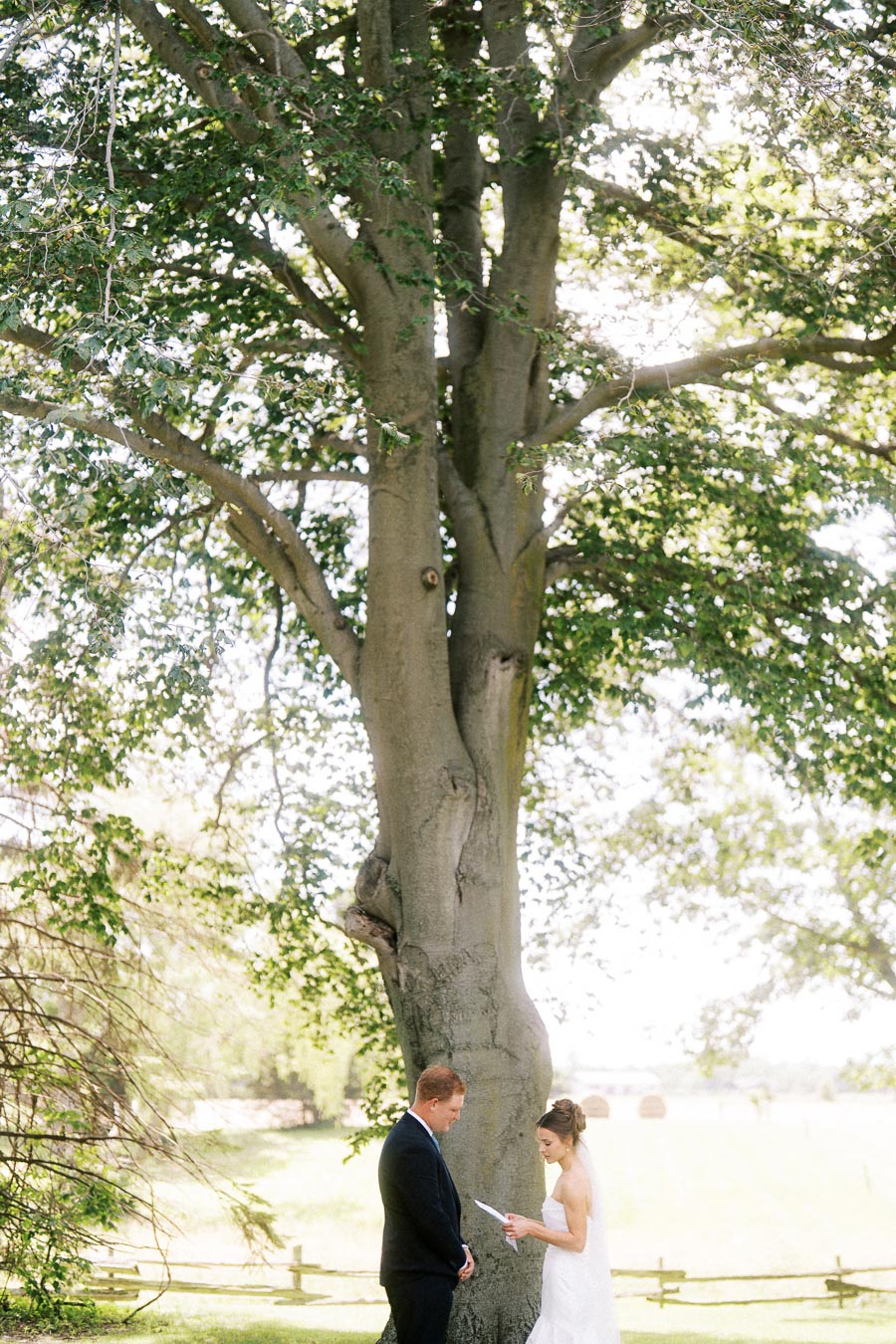 Bride and groom read private wedding vows beneath a large tree on an outdoor estate near Chatham-Kent, Ontario, Canada.