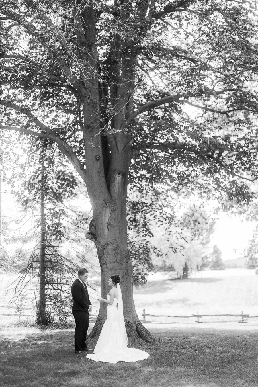 Black and white photo of a bride and groom reading vows under a large tree on a private outdoor property near Chatham-Kent, Ontario.