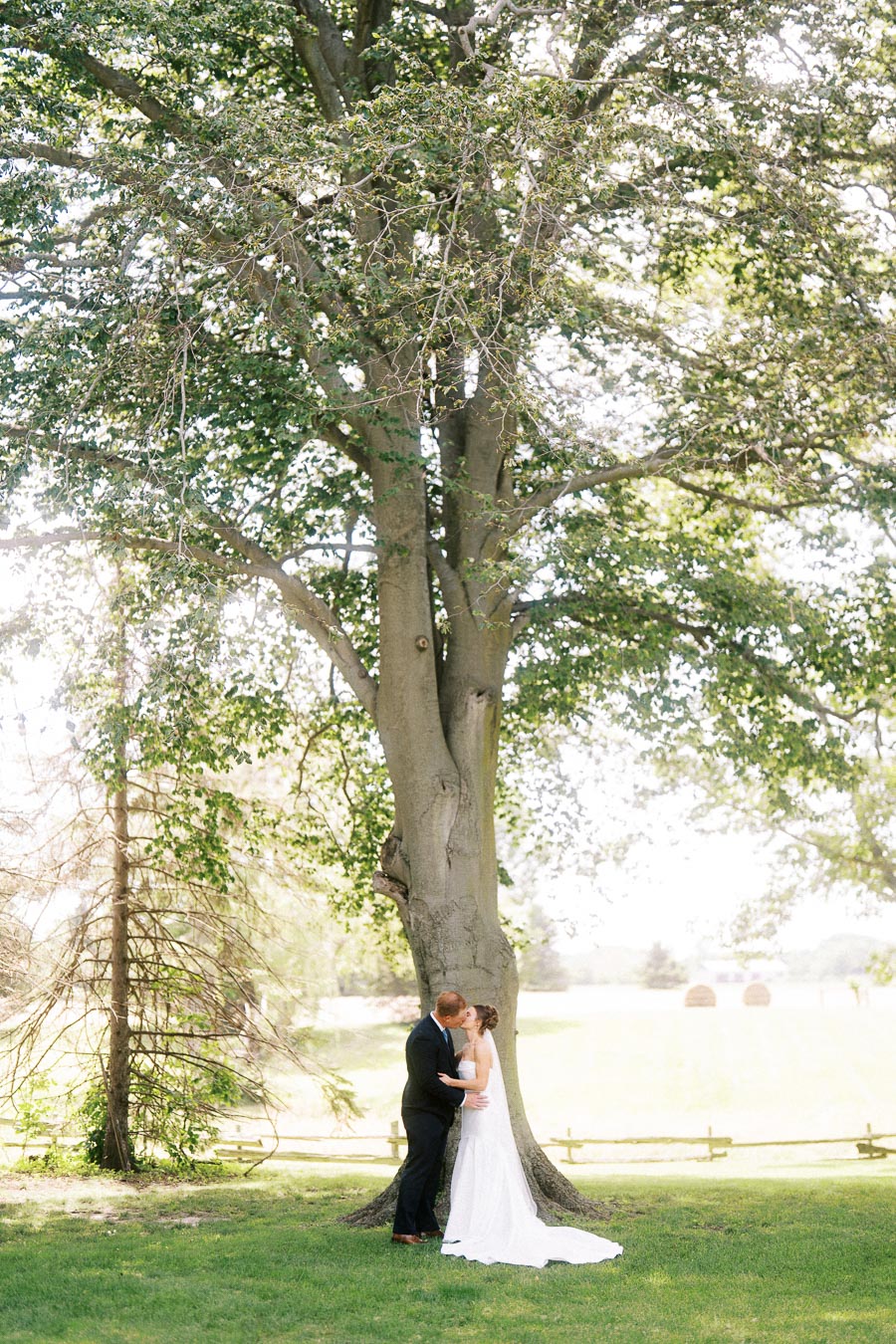 Bride and groom kissing beneath a large tree during an outdoor private estate wedding near Chatham-Kent, Ontario, Canada.