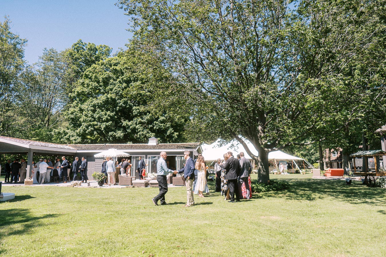 Wedding guests mingle during cocktail hour on a sunny private estate lawn near Chatham-Kent, Ontario, with a white tent and trees.