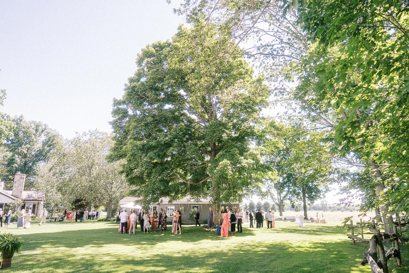 Wedding guests gather for cocktail hour on a sunny private estate lawn near Chatham-Kent, Ontario, with trees, farmhouse buildings, and open fields.