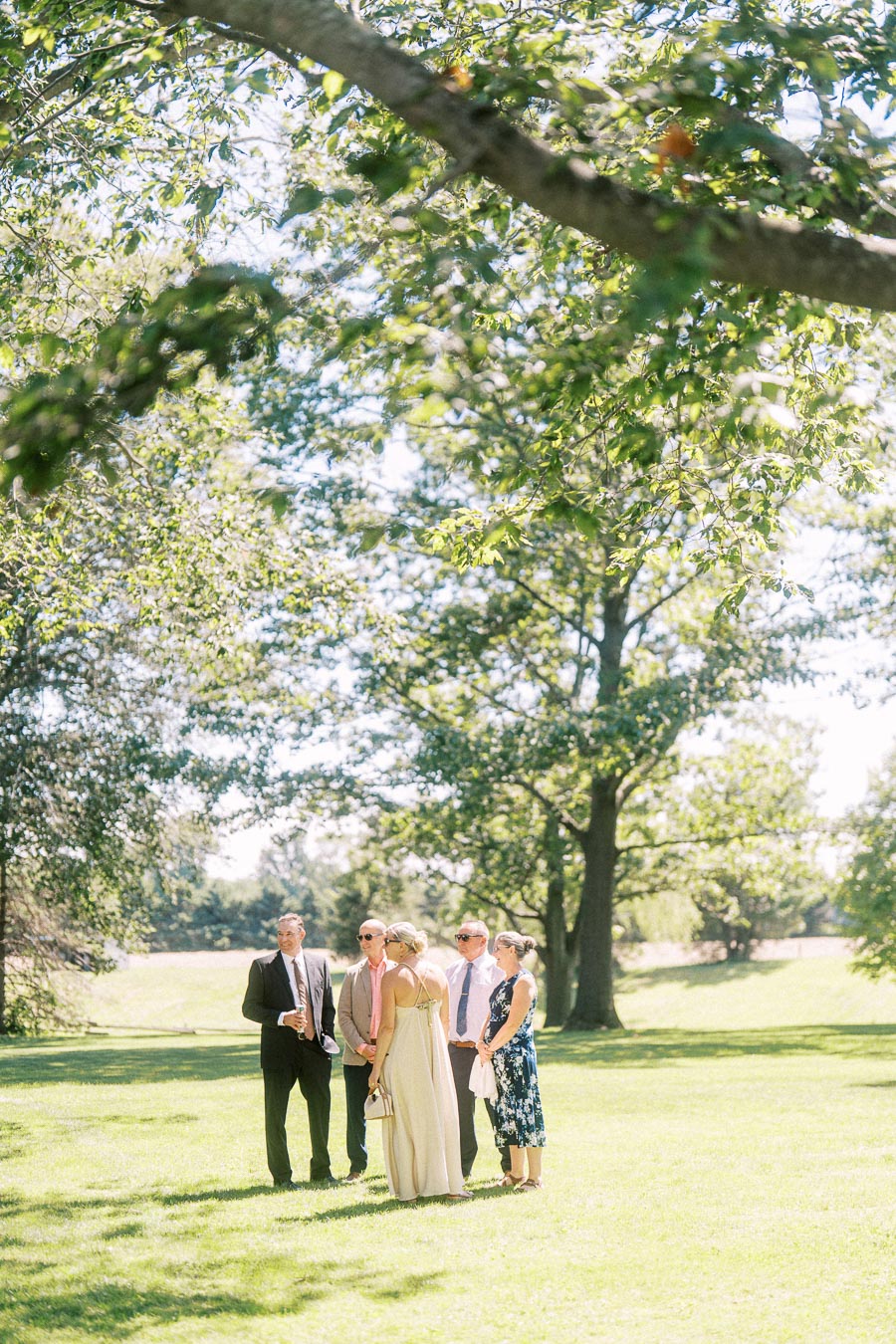 Wedding guests gather on a sunlit lawn under large trees during cocktail hour at a private estate near Chatham-Kent, Ontario, Canada.