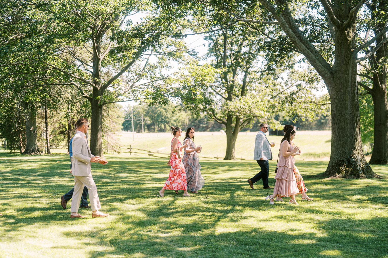 Wedding guests walking across a shaded lawn on a private estate near Chatham-Kent, Ontario, during an outdoor cocktail hour.