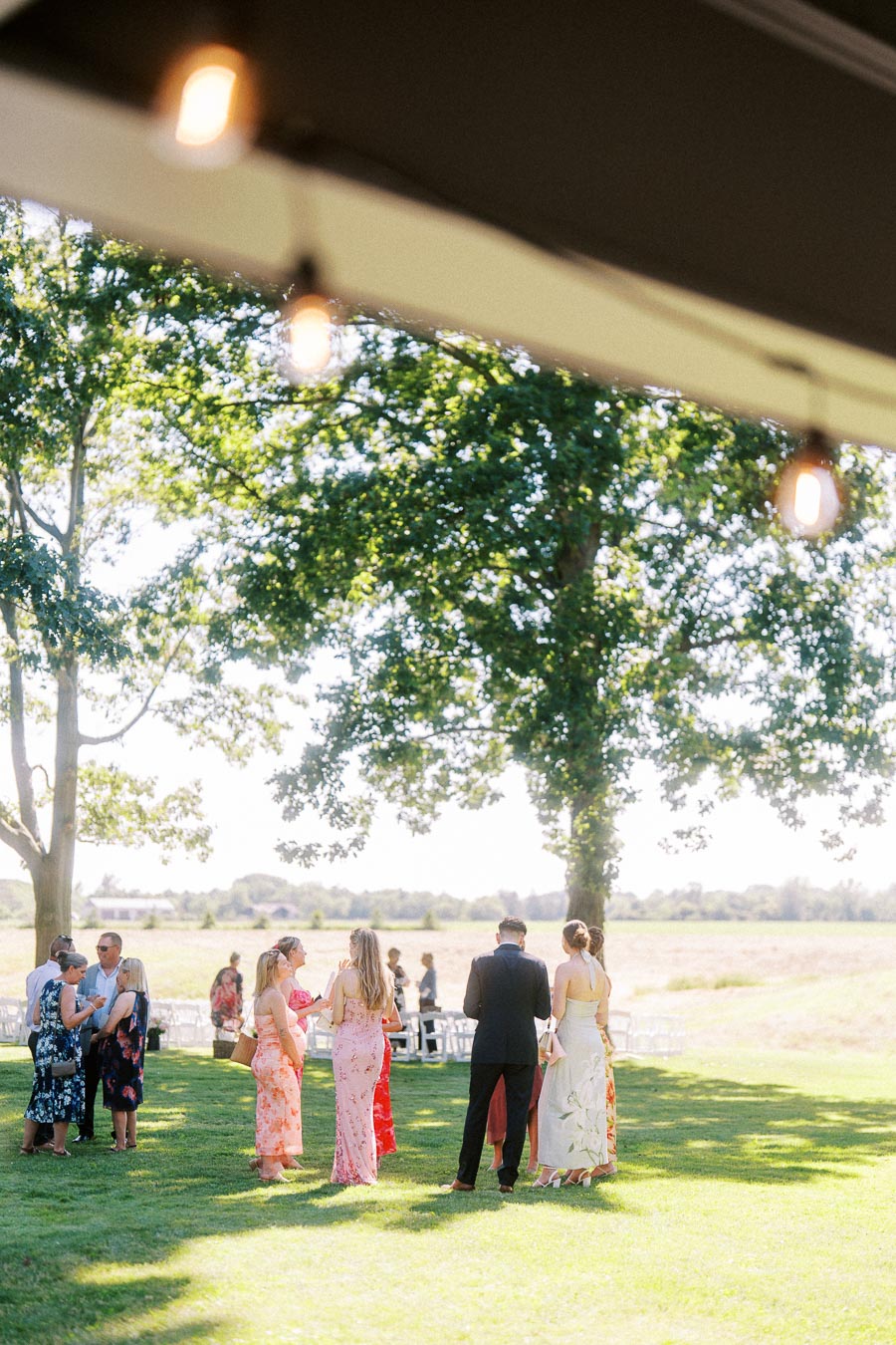 Wedding guests gather on a grassy farm lawn beneath a tent with string lights near Chatham-Kent, Ontario, Canada.