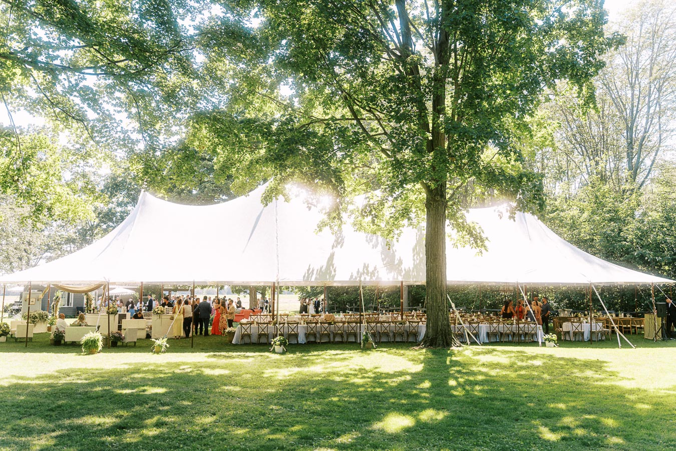 Outdoor tented wedding reception on a private farm estate near Chatham-Kent, Ontario, with guests, tables, trees, and sunlit lawn.