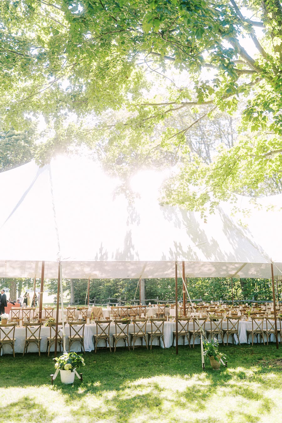 White wedding reception tent with long dining tables and wooden chairs under leafy trees on a private estate near Chatham-Kent, Ontario, Canada.