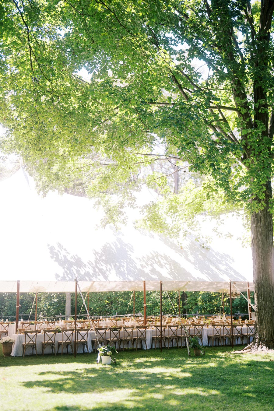 Outdoor tented wedding reception on a private farm estate near Chatham-Kent, Ontario, with long dining tables under a white marquee and trees.