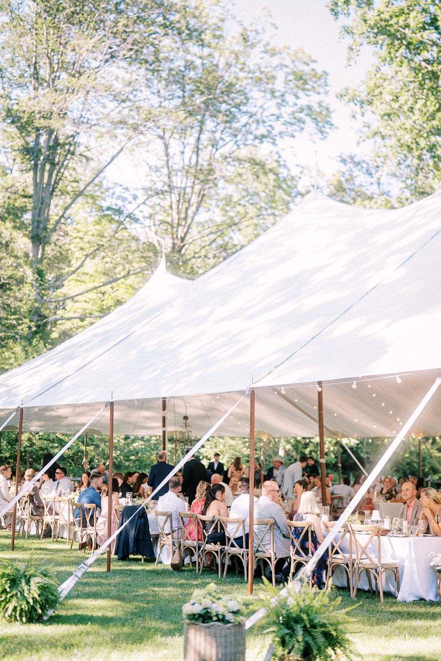 Outdoor tented wedding reception on a private farm estate near Chatham-Kent, Ontario, with guests seated at long tables under a white canopy.