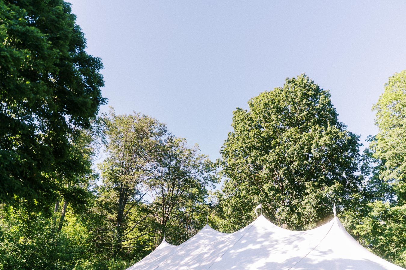 White wedding tent peaks surrounded by tall green trees under a clear blue sky on a private farm estate near Chatham-Kent, Ontario, Canada.
