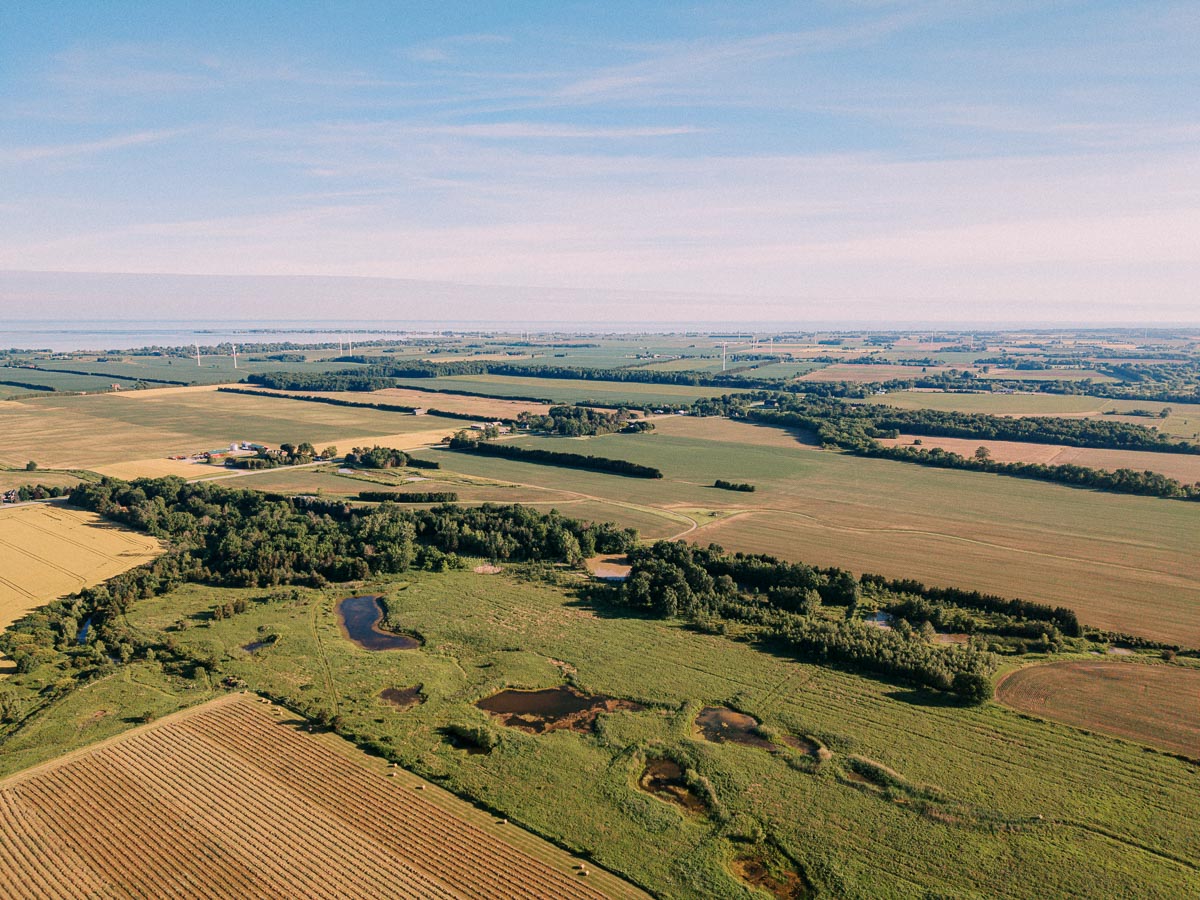 Aerial view of farmland and rural fields near Chatham-Kent, Ontario, Canada, with ponds, tree lines, distant lake horizon, and soft evening sky.