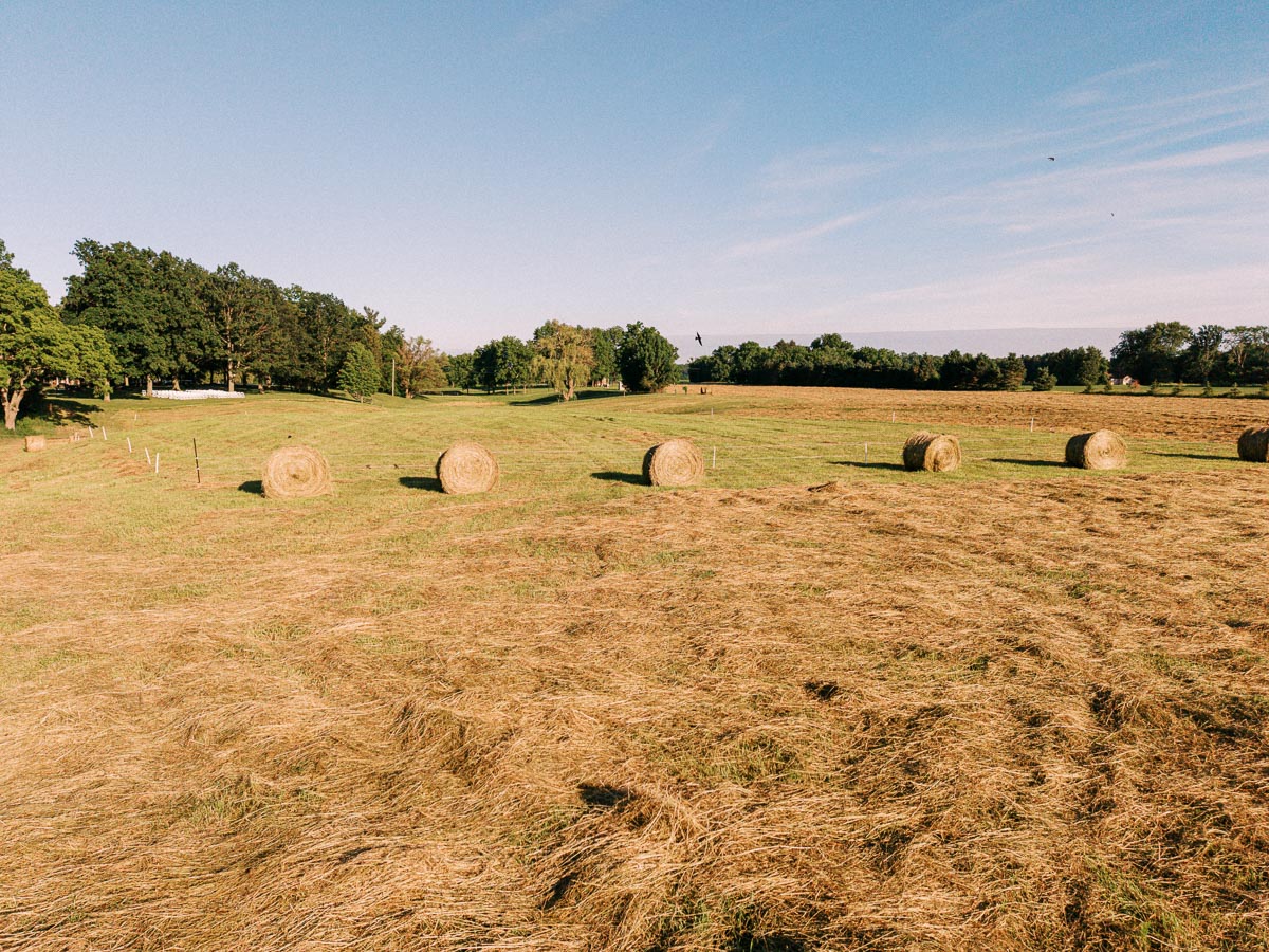 Hay bales in a rural farm field near Chatham-Kent, Ontario, Canada, with trees and blue sky on a private outdoor wedding property.