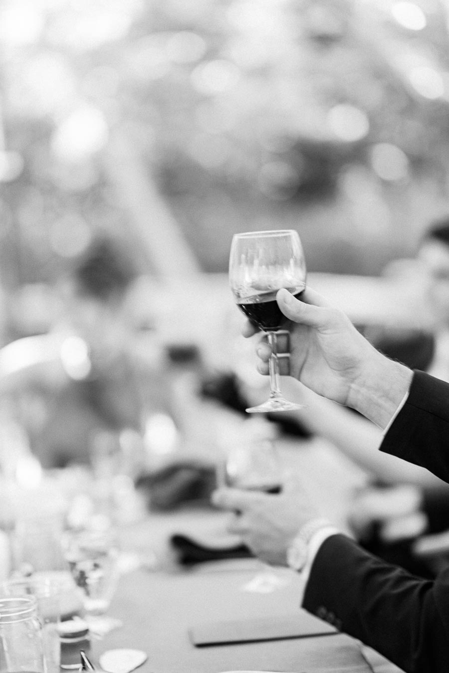 Black and white photo of wedding guests raising wine glasses during an outdoor farm reception near Chatham-Kent, Ontario.