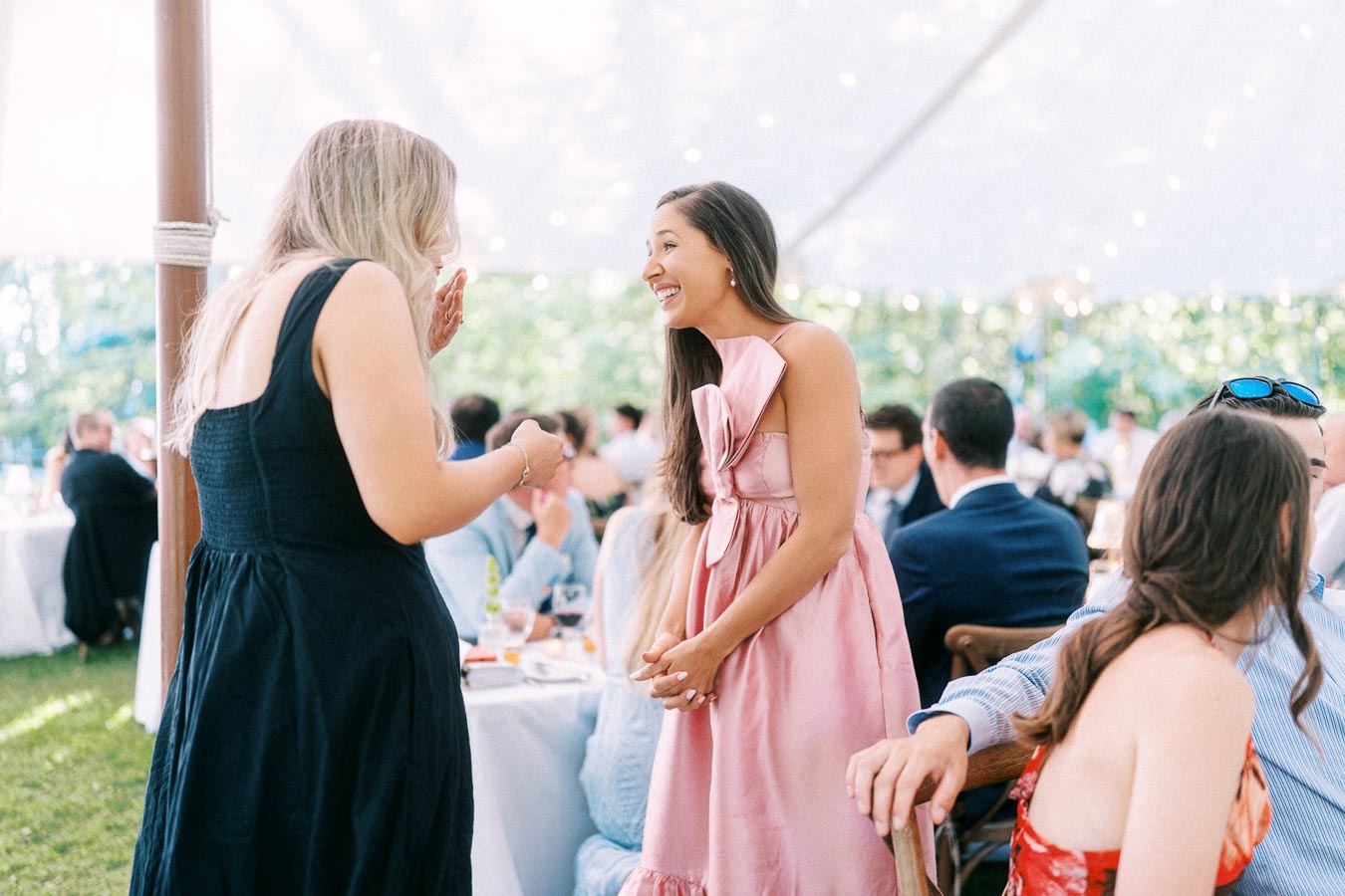 Wedding guests talking and laughing during an outdoor tented reception on a private estate near Chatham-Kent, Ontario, Canada.