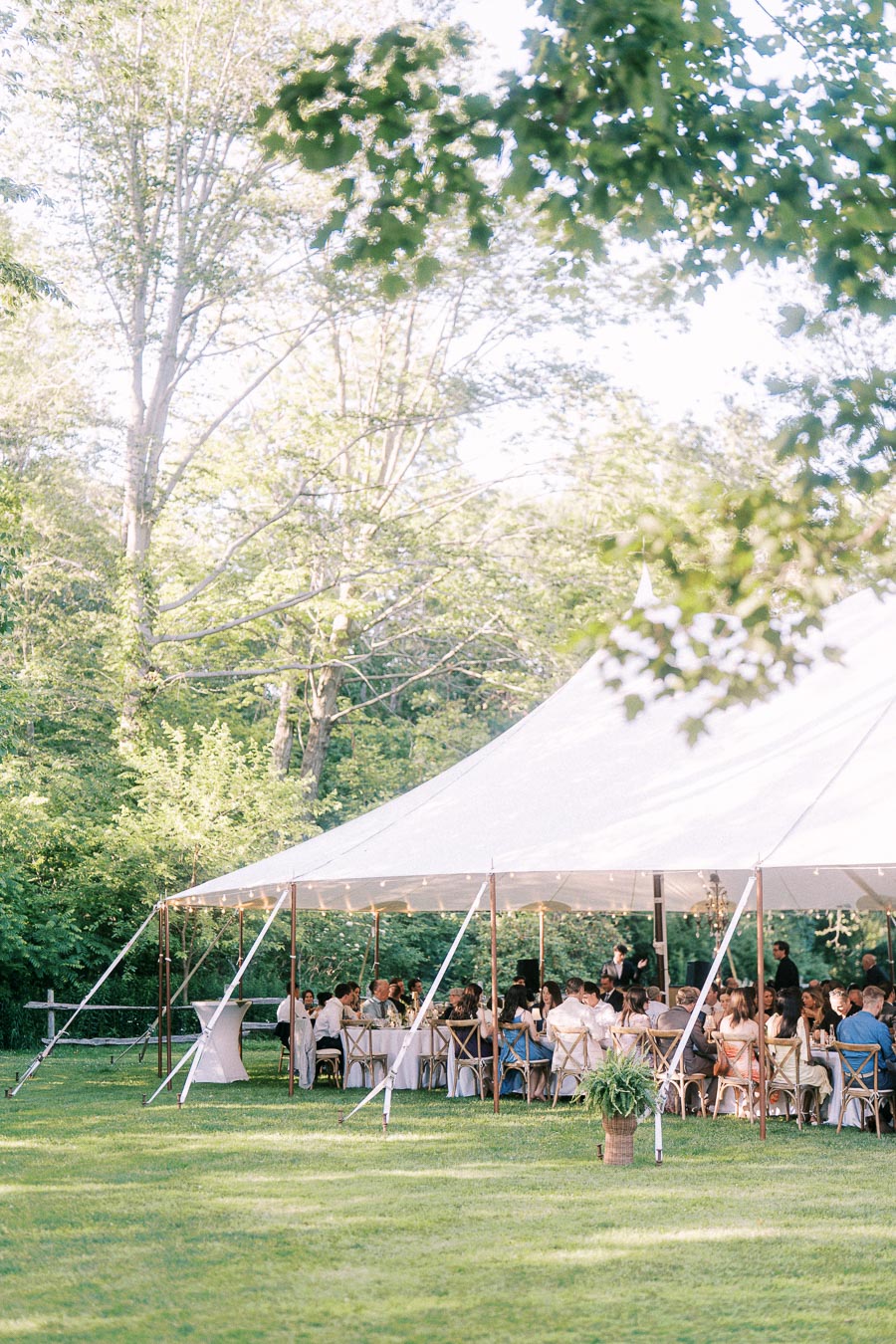 Outdoor tented wedding dinner on a grassy private estate near Chatham-Kent, Ontario, with guests seated under a white canopy surrounded by trees.