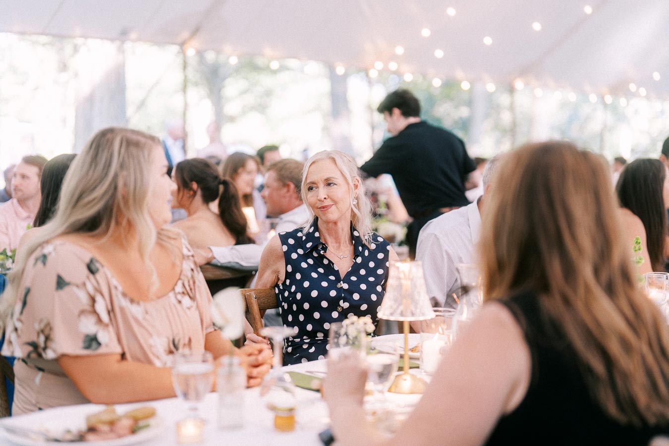 Wedding guests dining and talking under a white reception tent on a private estate near Chatham-Kent, Ontario, Canada.